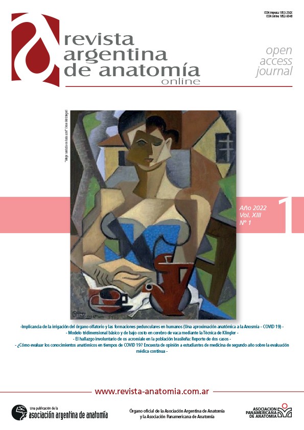 portada Revista Argentina de Anatomia Online 2022 Vol. XIII Nº 1