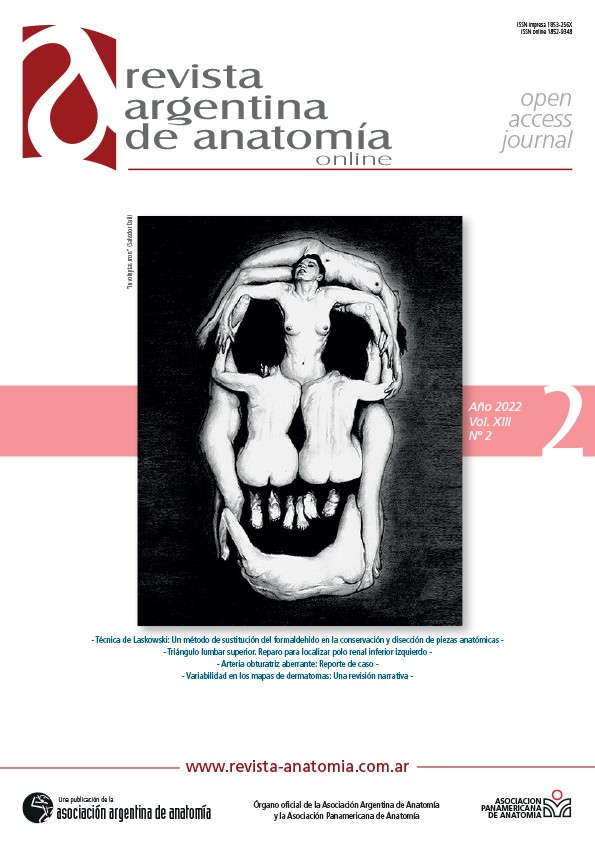portada Revista Argentina de Anatomia Online 2022 Vol. XIII Nº 2