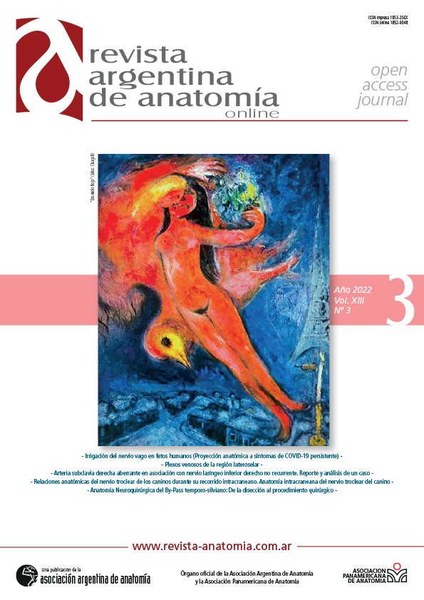 portada Revista Argentina de Anatomia Online 2022 Vol. XIII Nº 3