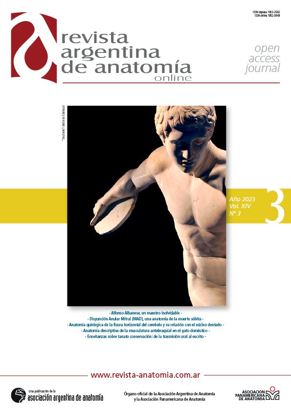 portada Revista Argentina de Anatomia Online 2023 Vol. XIV Nº 3