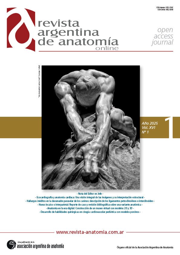 portada Revista Argentina de Anatomia Online 2023 Vol. XIV Nº 3